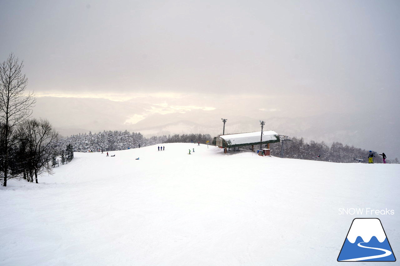 記録的大雪となった夕張マウントレースイは、午後からでもパウダー天国!!